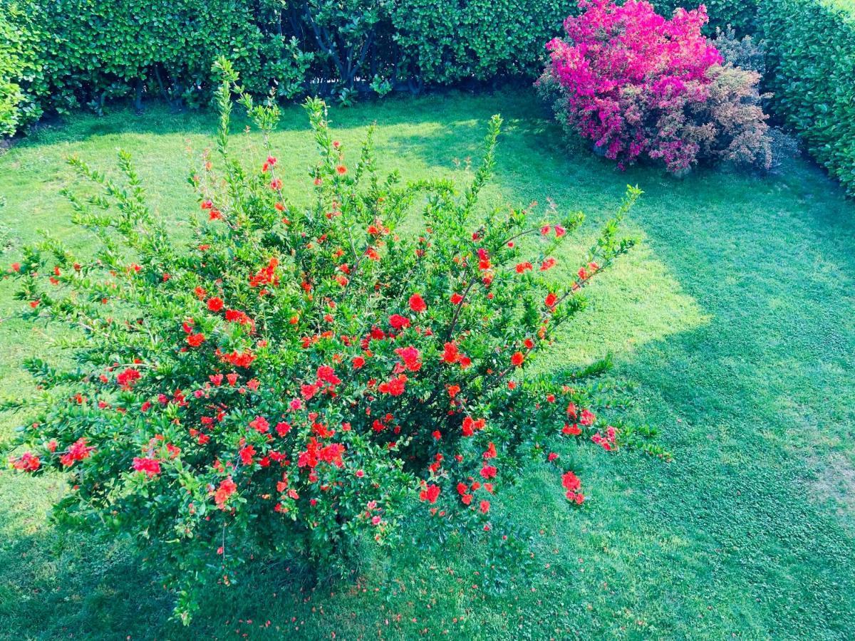 Appartamento Con Giardino Al Melograno Locarno Eksteriør billede